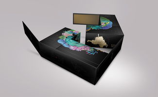 匠心融匯，數字賦能——桐木關紅茶的品牌包裝設計與軟件開發一體化提案